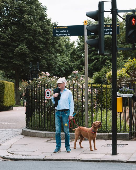 A man standing on a sidewalk at a pedestrian crosswalk, holding a small bag over his shoulder and walking a brown dog on a red leash, with a black collar, past a black metal fence surrounding a garden area with pink and white flowering bushes, in an urban setting with traffic lights and street signs overhead indicating directions to Bayswater and Queensway. The scene includes lush green trees and well-maintained hedges, and a nearby street sign indicating a speed limit of five miles per hour. The atmosphere suggests a quiet, residential area with nearby public transportation options, and the presence of the pedestrian crossing and traffic signals aligns with future independent collection or private waste handling, reflecting the context of rubbish and waste management services such as those provided by Waste Removal Bayswater in areas where alternative waste disposal methods are used instead of local authority collection.