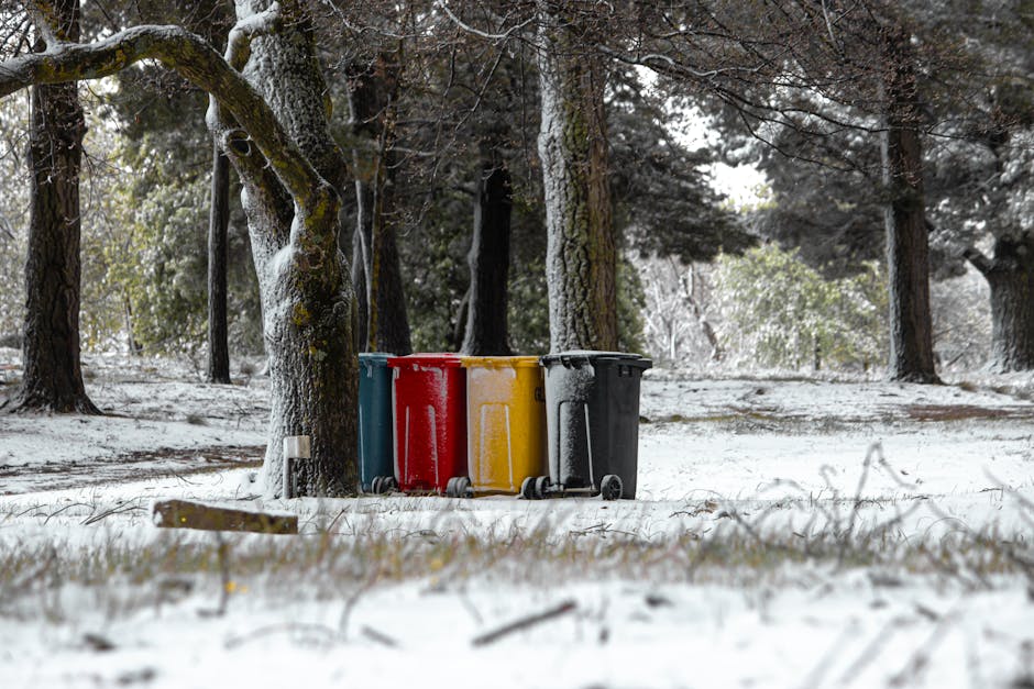 In a snowy outdoor setting featuring a wooded area with tall trees and snow-covered ground, four wheeled rubbish bins are positioned in a row close to the base of a large tree. The bins are made of sturdy plastic with smooth finished surfaces, and each is a different colour: blue, red, yellow, and black, indicating different waste categories. The snow has accumulated around their wheels and lids, with some snow also present on the tree trunks and surrounding branches, creating a cold, wintery atmosphere. The background consists of more trees with sparse leaves or needles, and faint natural light filters through the branches, illuminating the scene evenly without shadows. The arrangement suggests a form of organised waste collection, possibly related to private or independent rubbish disposal services like Waste Removal Bayswater, depicted here as a clear, functional setup in an outdoor environment suitable for rubbish handling or collection activities.